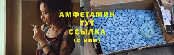 гидра Няндома