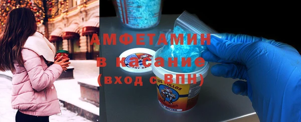 гидра Няндома