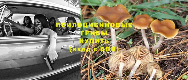 гидра Няндома