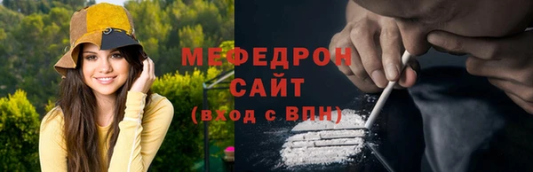 гидра Няндома