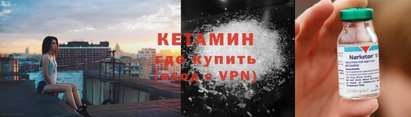 гидра Няндома