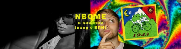 гидра Няндома
