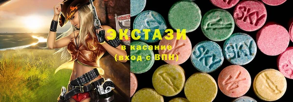 гидра Няндома