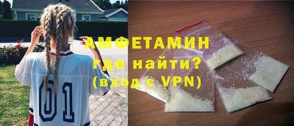 гидра Няндома