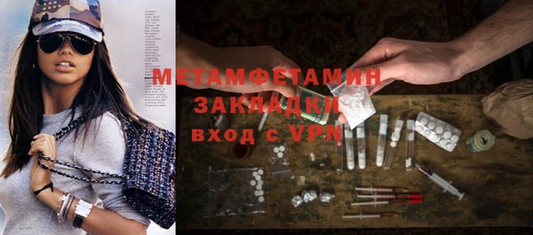 гидра Няндома