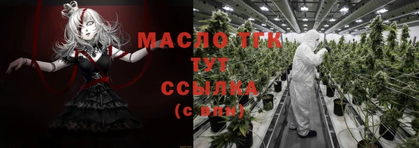 гидра Няндома