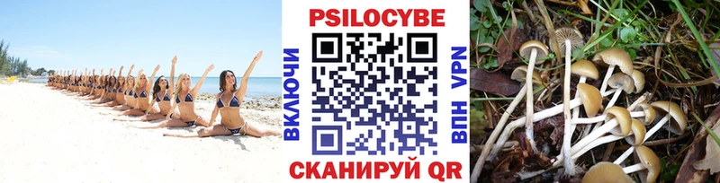 Купить где  Алупка  Галлюциногенные грибы прущие грибы 