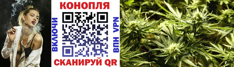 Купить где  Алупка  Канабис тримм 